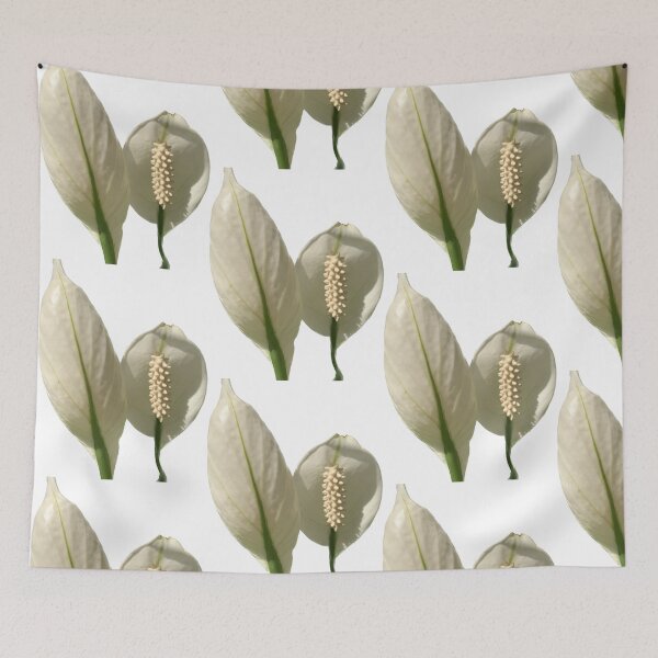 Item preview, Peace Lily has white bracts. It resembles a heart shape wrapped in a tubular inflorescence with light yellow florets surrounding it. It is a tree that can purify the air very well designed and sold by pipikijung.