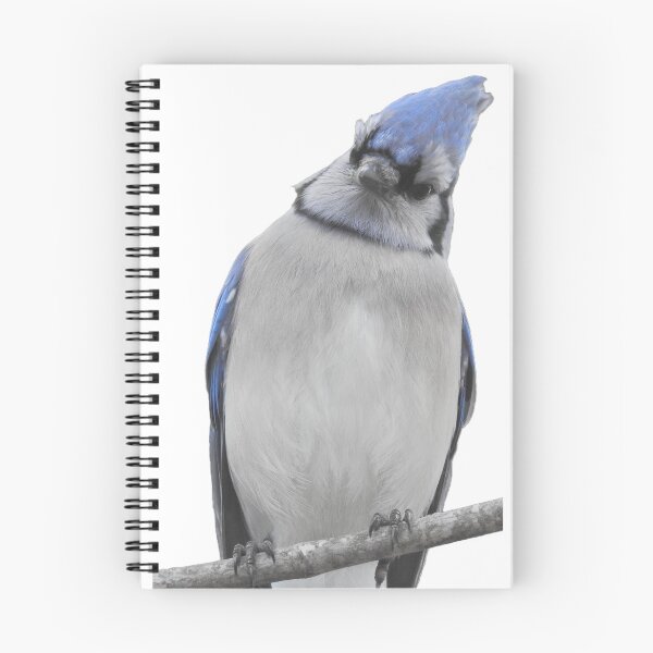 Item preview, Judging Blue Jay designed and sold by sarah11918.