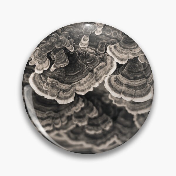 Item preview, Bracket Fungi designed and sold by David Bowman.