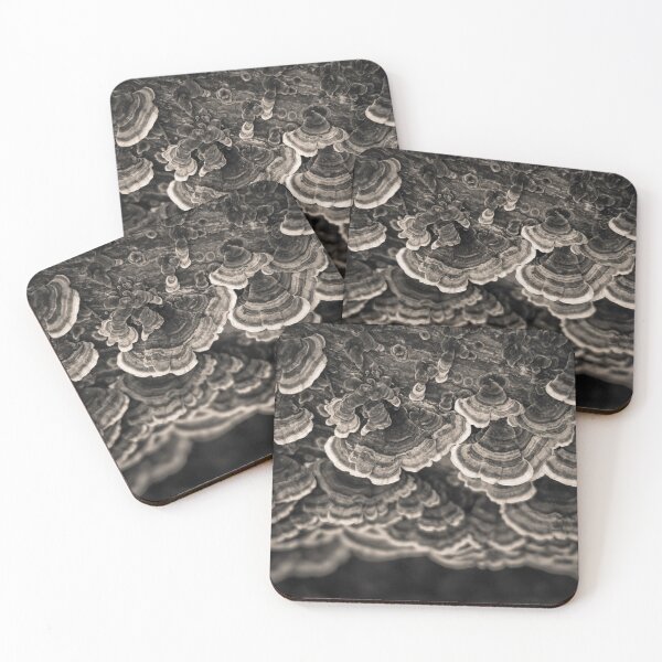 Item preview, Bracket Fungi designed and sold by David Bowman.