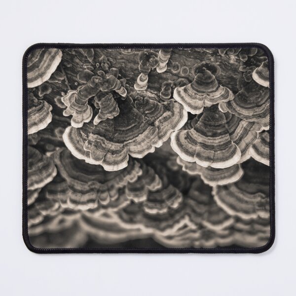 Item preview, Bracket Fungi designed and sold by David Bowman.