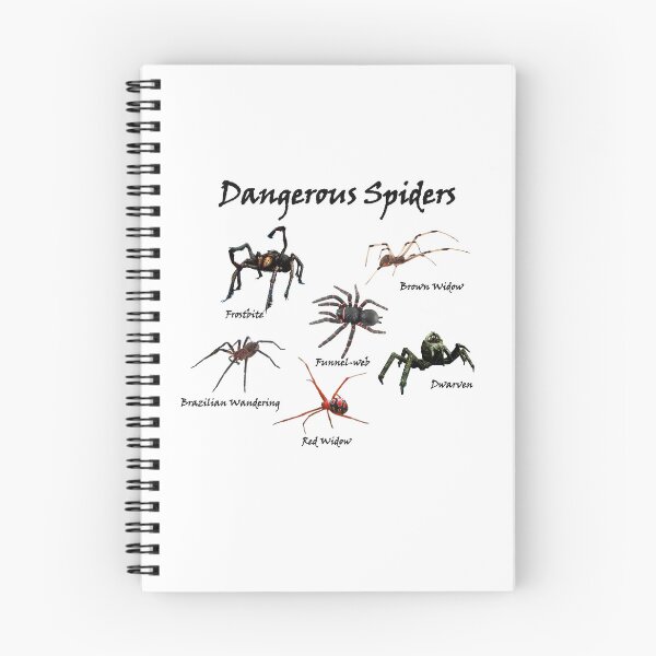 Item preview, Dangerous Spiders of the Known World designed and sold by Global Nomad.