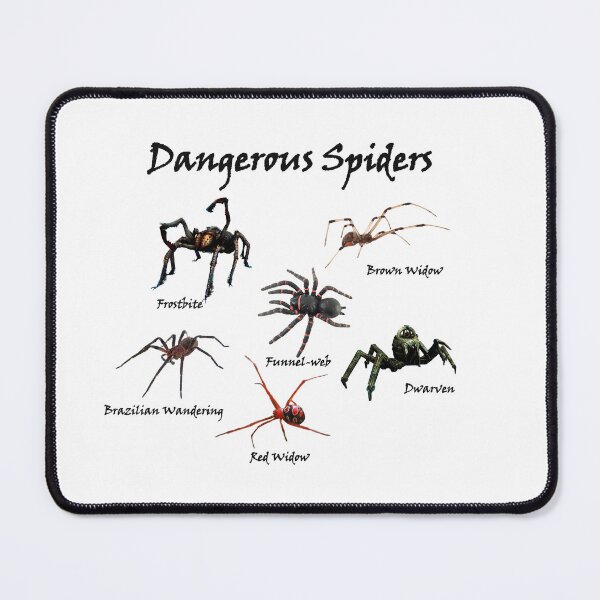 Item preview, Dangerous Spiders of the Known World designed and sold by Global Nomad.