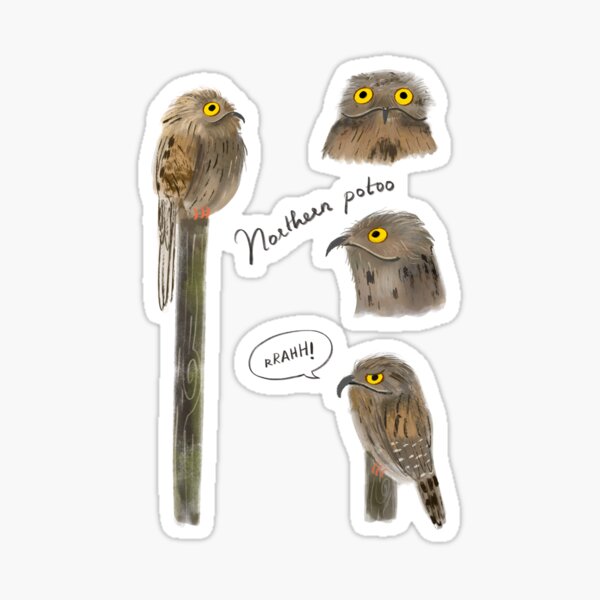 Item preview, Northern potoo designed and sold by HemasDesignLab.