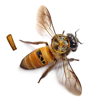 Artwork thumbnail, steampunk bee by RStampanoni