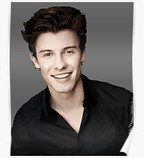 shawn illustration Poster