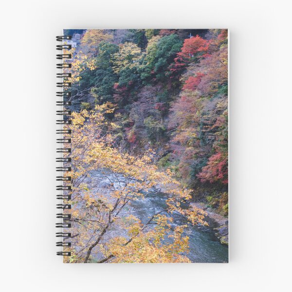 Item preview, Mountain Ravine in Late Autumn designed and sold by Pix4Japan.