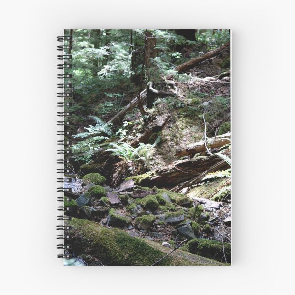 Item preview, Waterfall Creek, Olympic National Park designed and sold by jzmurdock.