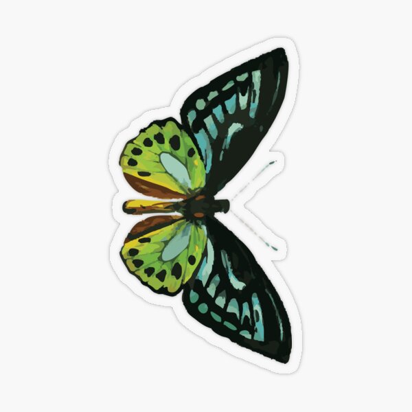 Item preview, Moth Sticker Collection – Nature-Inspired Entomology Art designed and sold by QuteStuffHere.