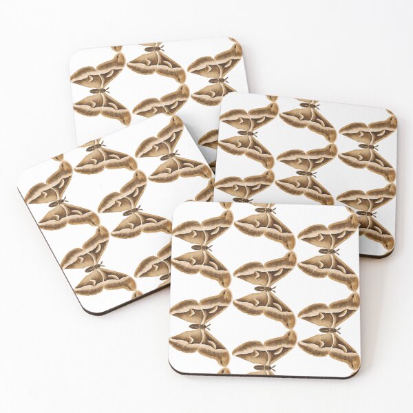 Item preview, Ailanthus Silkmoth Sticker – Elegant Nature-Inspired Design designed and sold by QuteStuffHere.