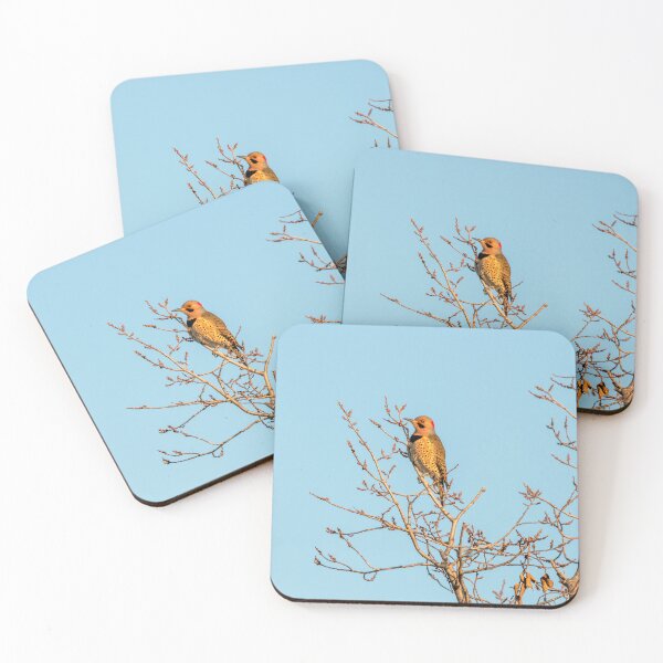 Item preview, Northern Flicker In The Treetop designed and sold by Debra Martz.