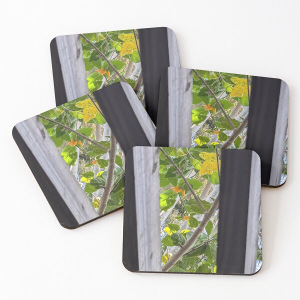 Item preview, Through Boards designed and sold by AlphaDeltas.