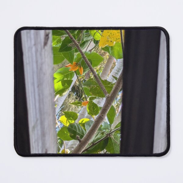 Item preview, Through Boards designed and sold by AlphaDeltas.