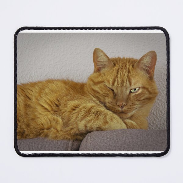 Item preview, The most seductive cat in the country designed and sold by DncRuz.