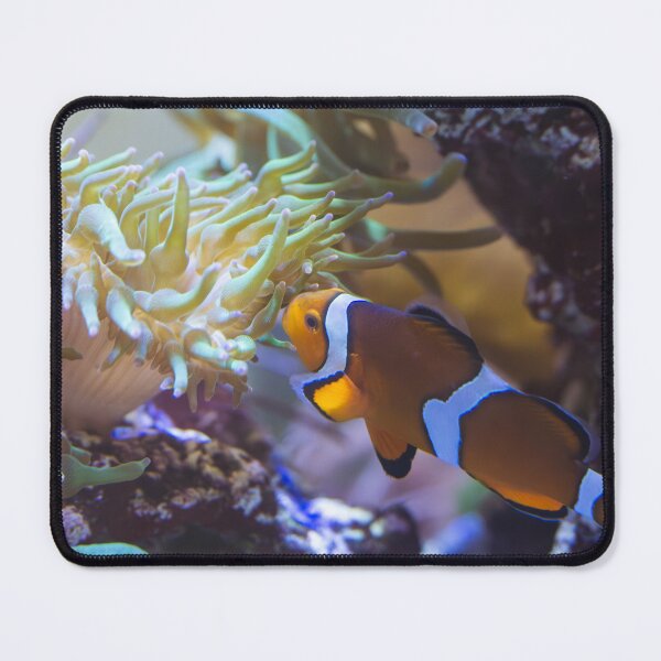 Item preview, A wonderful distracted clownfish designed and sold by DncRuz.