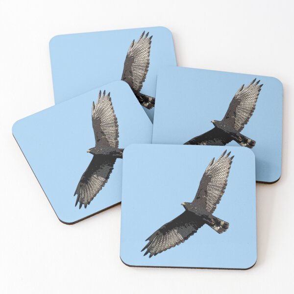 Item preview, Zone-tailed Hawk Color Design  designed and sold by designsasstultd.