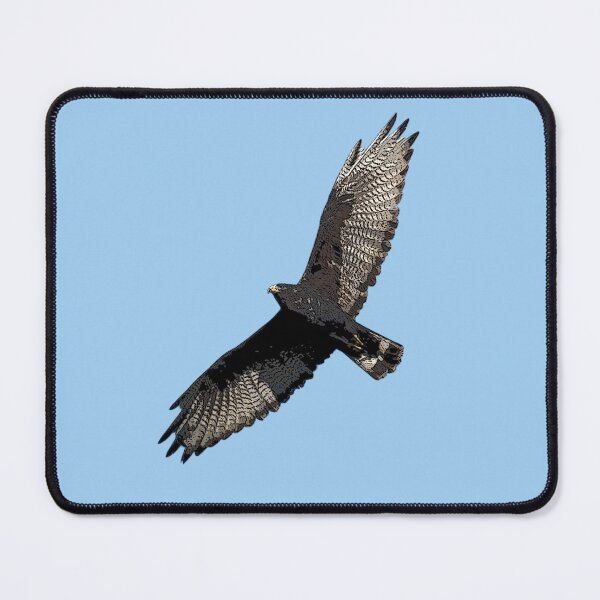 Item preview, Zone-tailed Hawk Color Design designed and sold by designsasstultd.