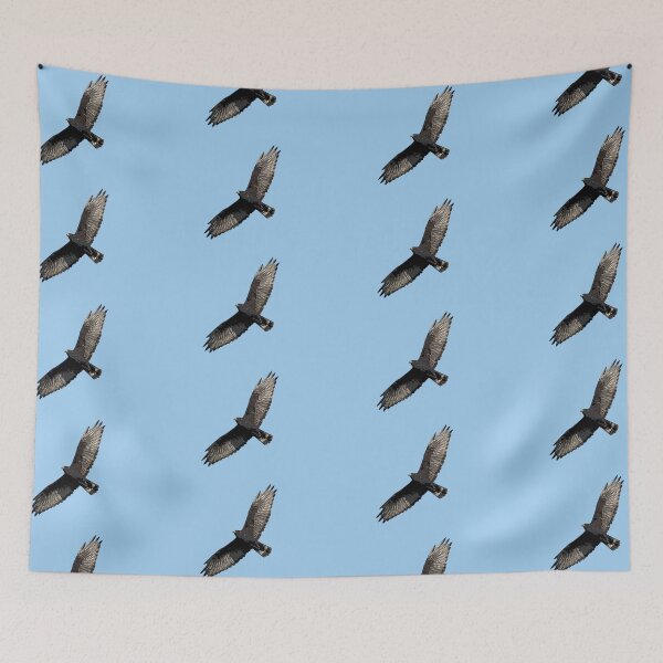 Item preview, Zone-tailed Hawk Color Design  designed and sold by designsasstultd.