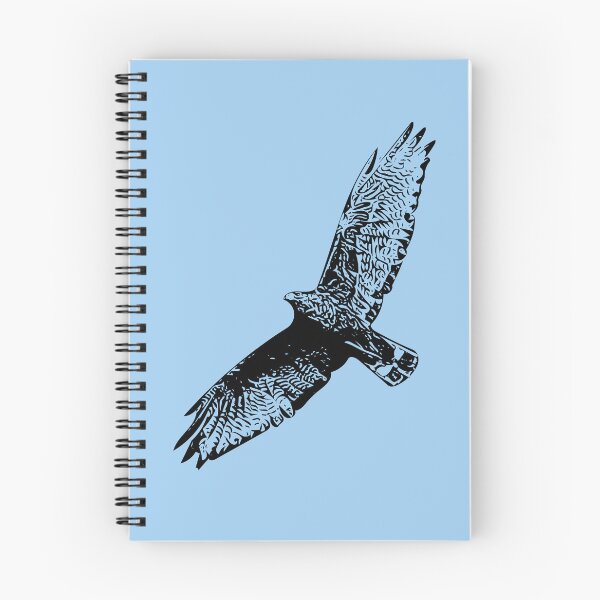 Item preview, Zone-tailed Hawk Black Design  designed and sold by designsasstultd.