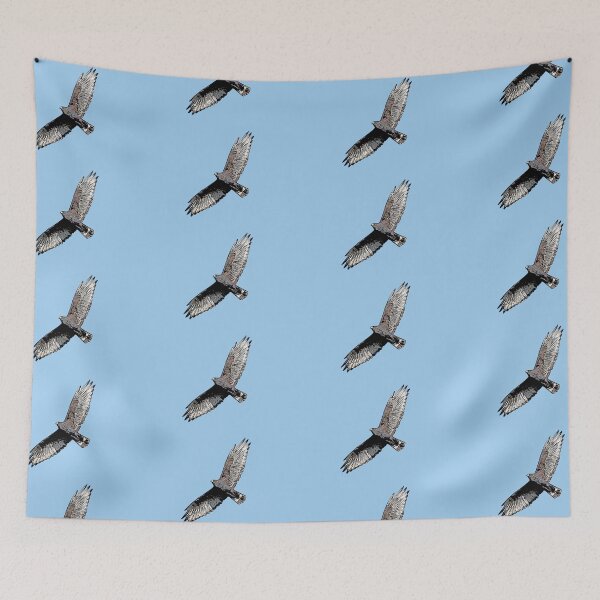 Item preview, Zone-tailed Hawk Black Alternate Design  designed and sold by designsasstultd.