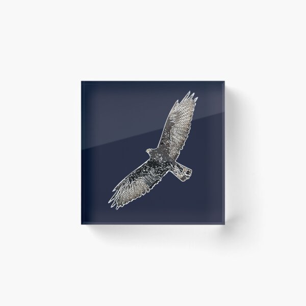 Item preview, Zone-tailed Hawk White Alternate Design  designed and sold by designsasstultd.