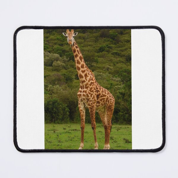 Item preview, Majestic Giraffe in Lush African Landscape designed and sold by ALW-Photography.