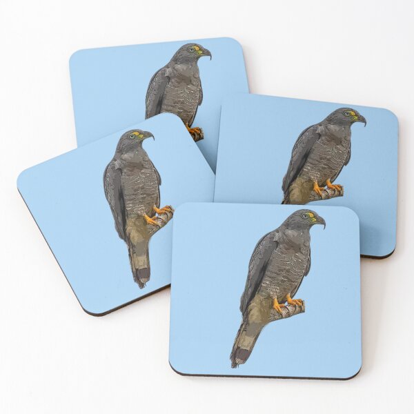 Item preview, Hook-billed Kite Perched Color Design  designed and sold by designsasstultd.