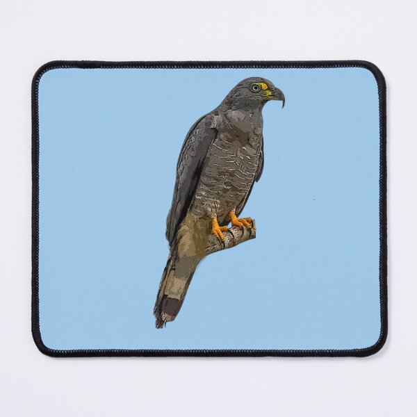 Item preview, Hook-billed Kite Perched Color Design designed and sold by designsasstultd.