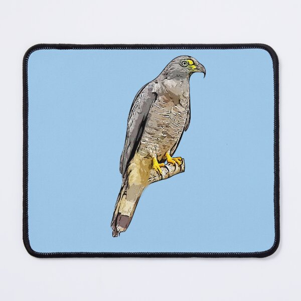 Item preview, Hook-billed Kite Perched Black Alternate Design  designed and sold by designsasstultd.