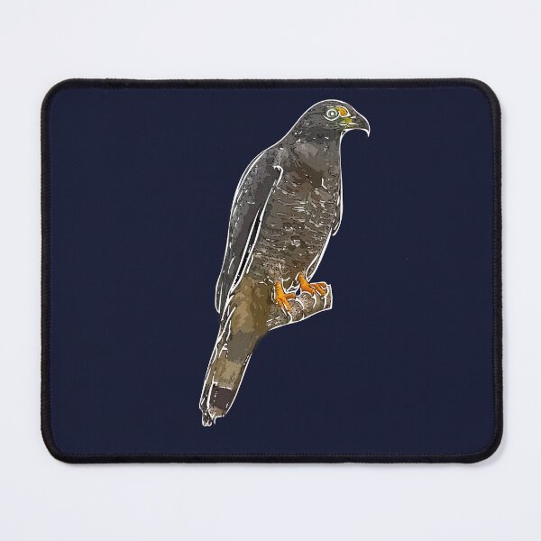 Item preview, Hook-billed Kite Perched White Alternate Design designed and sold by designsasstultd.