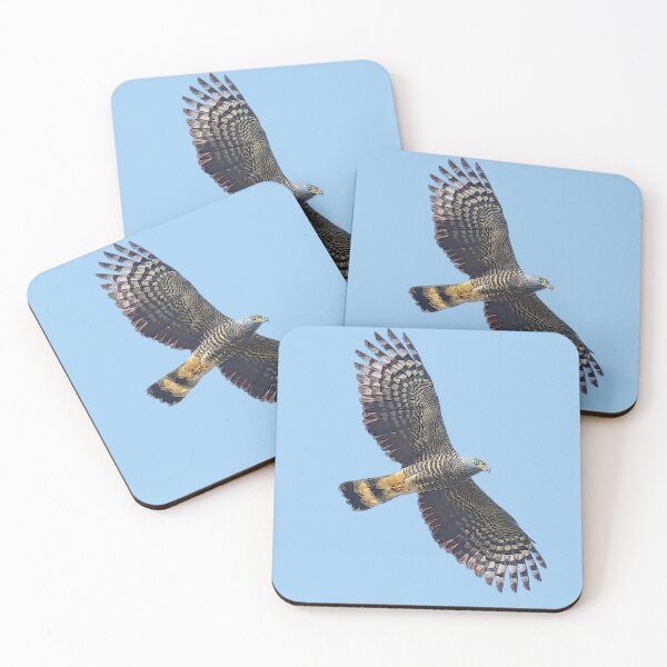 Item preview, Hook-billed Kite Flying Color Design  designed and sold by designsasstultd.
