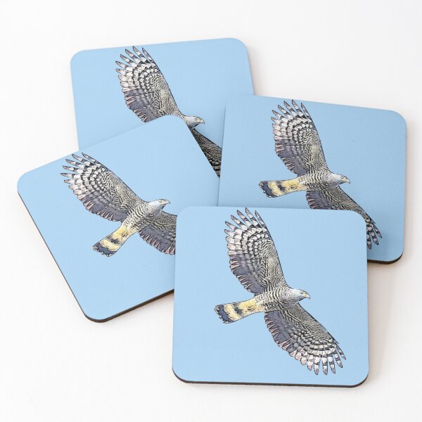 Item preview, Hook-billed Kite Flying Black Alternate Design  designed and sold by designsasstultd.