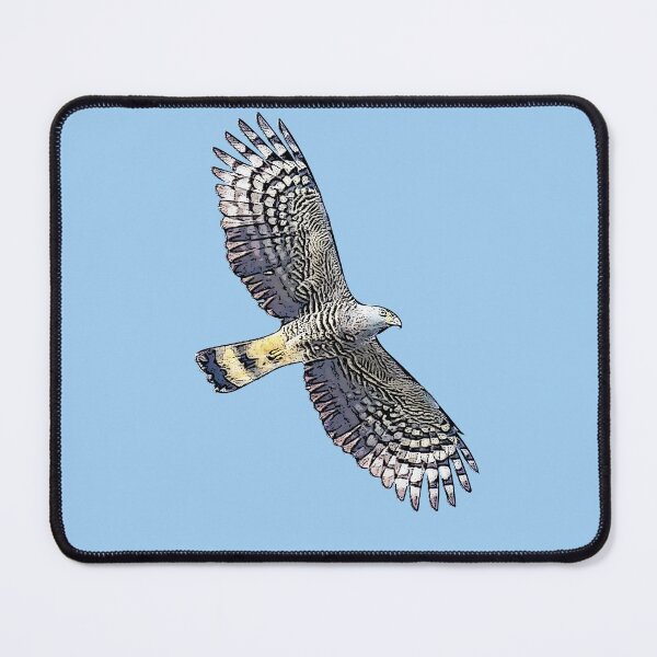 Item preview, Hook-billed Kite Flying Black Alternate Design designed and sold by designsasstultd.