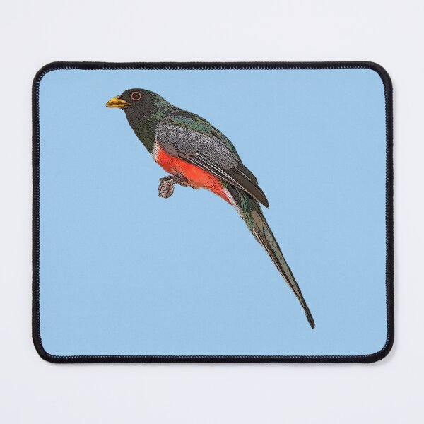 Item preview, Elegant Trogon Color Design  designed and sold by designsasstultd.