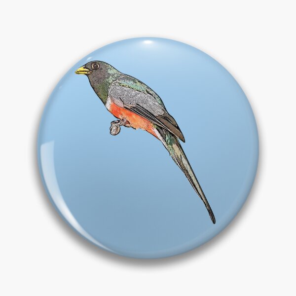 Item preview, Elegant Trogon Black Alternate Design  designed and sold by designsasstultd.