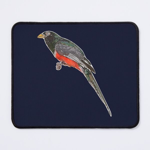 Item preview, Elegant Trogon White Alternate Design  designed and sold by designsasstultd.