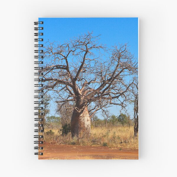 Item preview, Outback boab tree and termite mound, Australia designed and sold by FranWest.