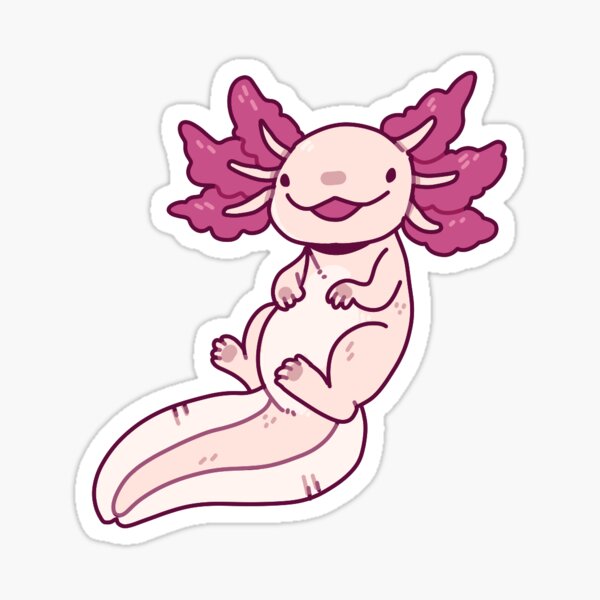 Leucistic Axolotl Sticker