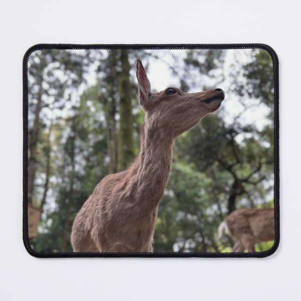 Item preview, Nara Park Japanese Deer designed and sold by Vuriah-Tee.