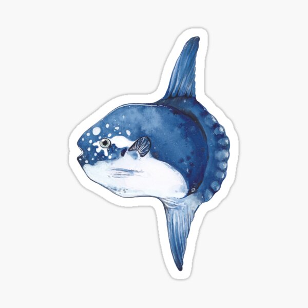Item preview, Ocean Sunfish - Mola Mola  designed and sold by Roo Nutkins.