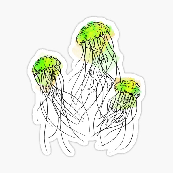 Sea Nettle Jellyfish (lime) Sticker