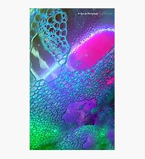 Enchantment Photographic Print