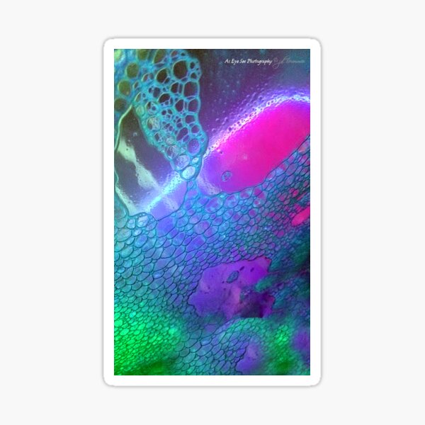 Enchantment Sticker