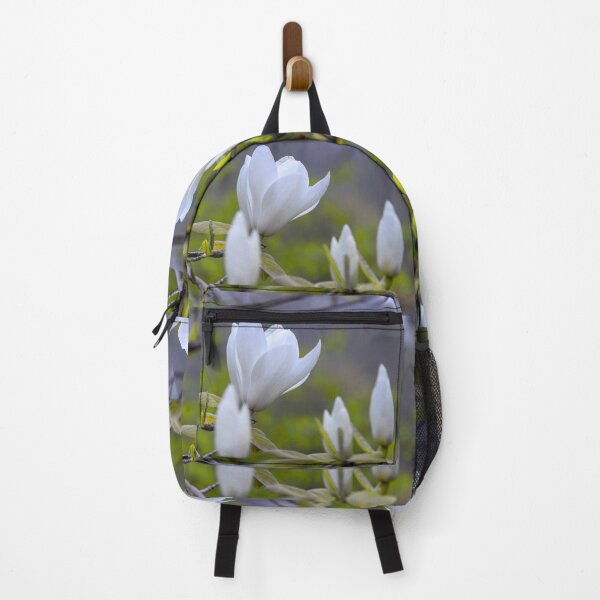 Item preview, UK. England. London. St James's Park. Blooming Magnolia. designed and sold by vadim19.