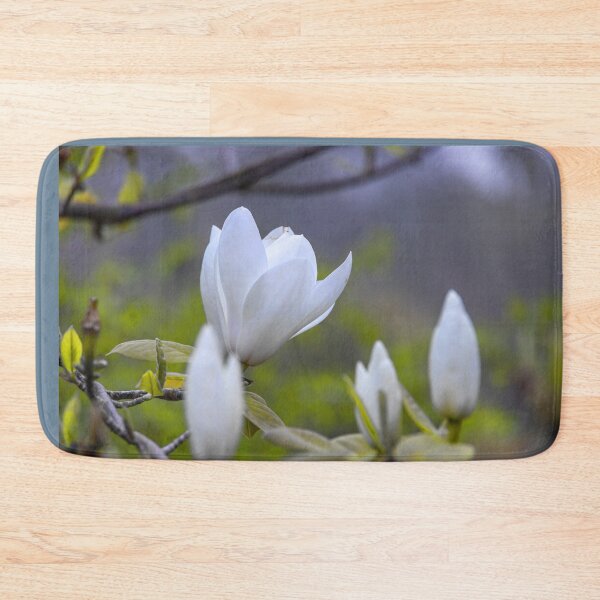 Item preview, UK. England. London. St James's Park. Blooming Magnolia. designed and sold by vadim19.