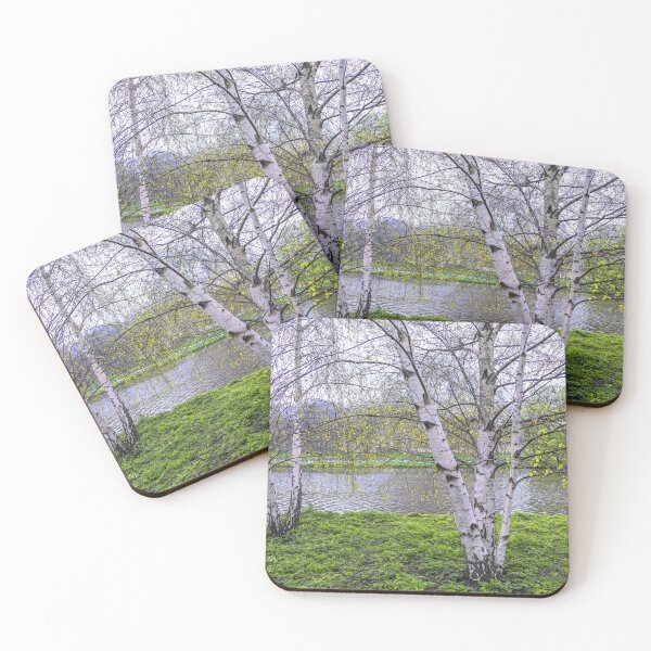 Item preview, UK. England. London. St James's Park. Birch Trees. designed and sold by vadim19.