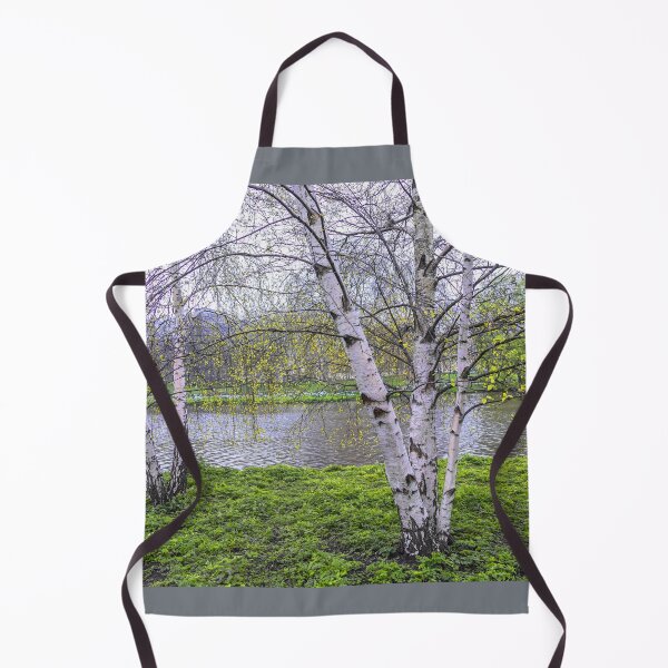 Item preview, UK. England. London. St James's Park. Birch Trees. designed and sold by vadim19.
