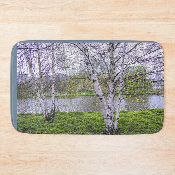 Item preview, UK. England. London. St James's Park. Birch Trees. designed and sold by vadim19.