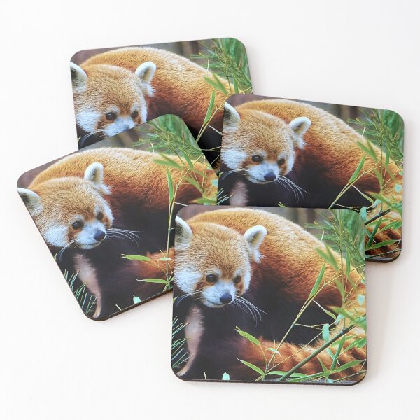 Item preview, Red Panda designed and sold by Tims-wildlife.