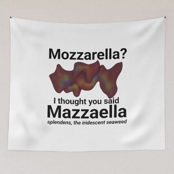 Item preview, Mazzaella splendens, the iridescent seaweed designed and sold by rornelson.